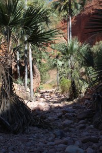 Bungle Nationalpark-021